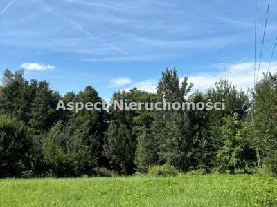                                     Lots for Sale  Zebrzydowice
                                     | 1259 mkw