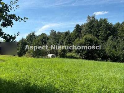                                     Lots for Sale  Zebrzydowice
                                     | 1259 mkw