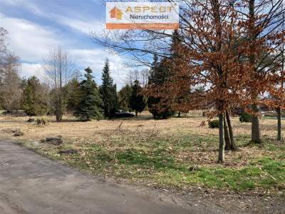                                     Lots for Sale  Żory
                                     | 800 mkw