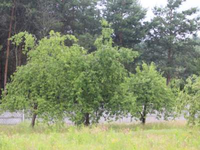         Lots for Sale, Powiat Piaseczyński, Usługowa | 2572 mkw