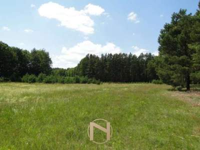                                     Lots for Sale  Łośno
                                     | 11068 mkw