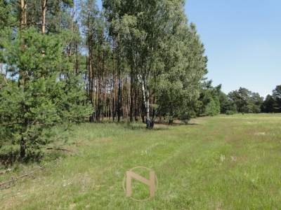                                     Lots for Sale  Łośno
                                     | 11068 mkw