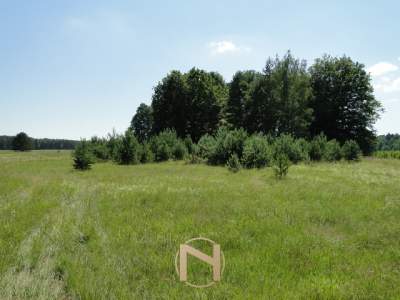                                     Lots for Sale  Łośno
                                     | 11068 mkw