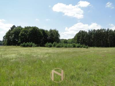                                     Lots for Sale  Łośno
                                     | 11068 mkw