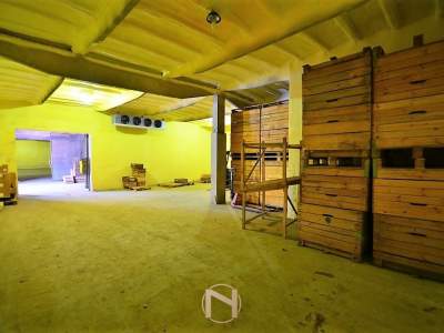                                     Local Comercial para Rent   Baczyna
                                     | 300 mkw