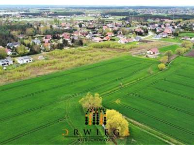                                     Lots for Sale  Gorzów Wielkopolski
                                     | 1984 mkw