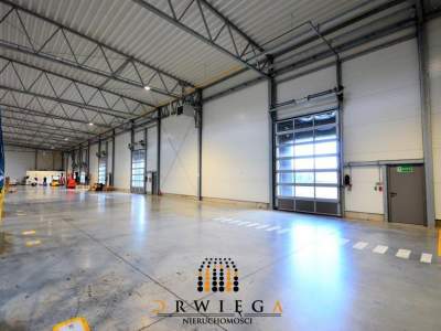                                     Local Comercial para Rent   Gorzów Wielkopolski
                                     | 3200 mkw