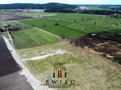                                     Lots for Sale  Skwierzyna
                                     | 1258 mkw