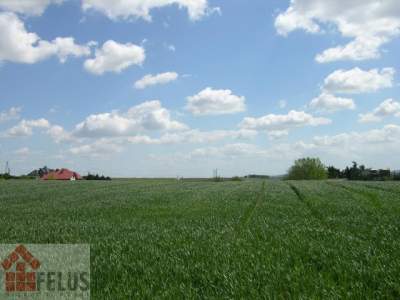                                     Lots for Sale  Proszowicki
                                     | 5000 mkw