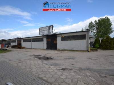                                     Commercial for Sale  Wągrowiec
                                     | 455 mkw