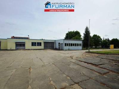                                     Commercial for Sale  Wągrowiec
                                     | 1291 mkw