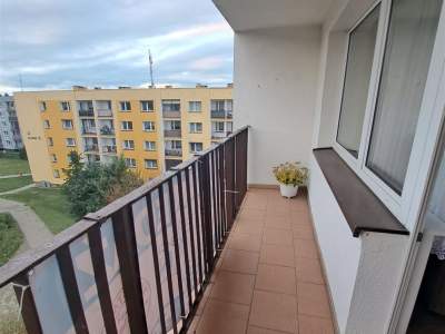                                     Apartamentos para Alquilar  Czarnków
                                     | 73 mkw