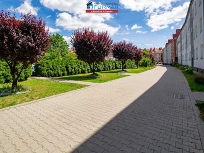                                     Flats for Sale  Piła
                                     | 47 mkw