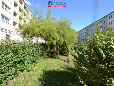                                     Flats for Sale  Złotów
                                     | 44 mkw