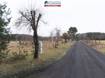                                     Lots for Sale  Lubasz
                                     | 1422 mkw