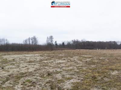                                     Lots for Sale  Lubasz
                                     | 1422 mkw