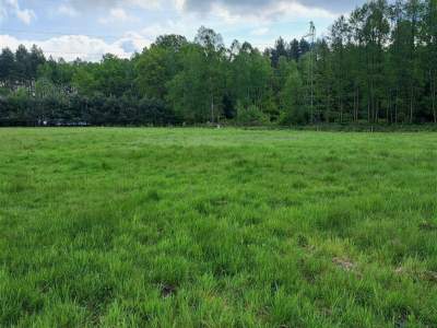                                    Lots for Sale  Lubasz
                                     | 1413 mkw