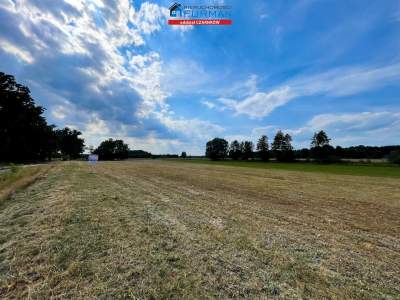                                     Lots for Sale  Trzcianka (Gw)
                                     | 2240 mkw