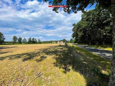                                     Lots for Sale  Trzcianka (Gw)
                                     | 2240 mkw