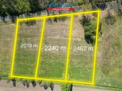                                     Lots for Sale  Trzcianka (Gw)
                                     | 2240 mkw