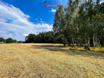                                     Lots for Sale  Trzcianka (Gw)
                                     | 2240 mkw