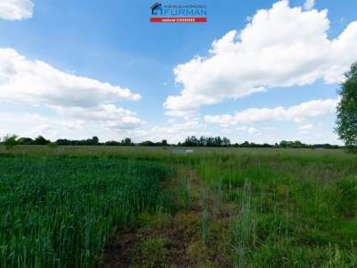                                     Lots for Sale  Rogoźno
                                     | 2049 mkw
