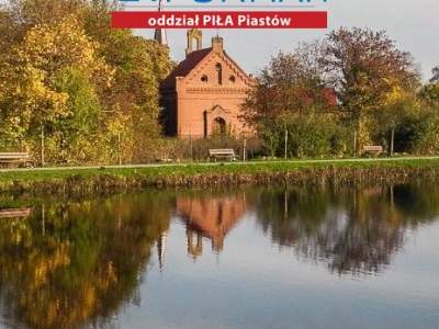                                     Parcela para Alquilar  Szydłowo (Gw)
                                     | 24900 mkw