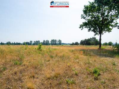                                     Lots for Sale  Trzcianka (Gw)
                                     | 3000 mkw