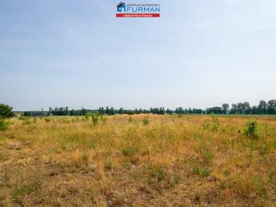                                     Lots for Sale  Trzcianka (Gw)
                                     | 3000 mkw