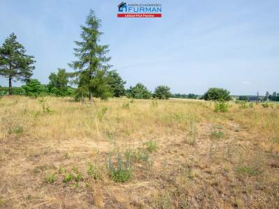                                     Lots for Sale  Trzcianka (Gw)
                                     | 3000 mkw