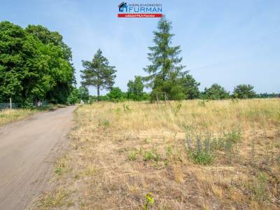                                     Lots for Sale  Trzcianka (Gw)
                                     | 3000 mkw