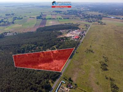                                     Lots for Sale  Trzcianka (Gw)
                                     | 30200 mkw