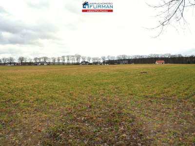                                     Lots for Sale  Kaczory
                                     | 1650 mkw