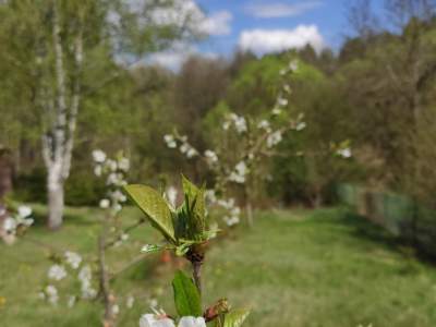                                     Działki na Sprzedaż  Kaczory
                                     | 2745 mkw