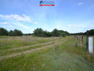                                     Lots for Sale  Rogoźno (Gw)
                                     | 7718 mkw