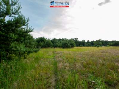                                     Lots for Sale  Rogoźno (Gw)
                                     | 7718 mkw