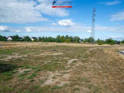                                     Lots for Sale  Krzyż Wielkopolski
                                     | 3682 mkw