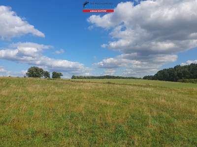                                     Lots for Sale  Złotów (Gw)
                                     | 1561 mkw