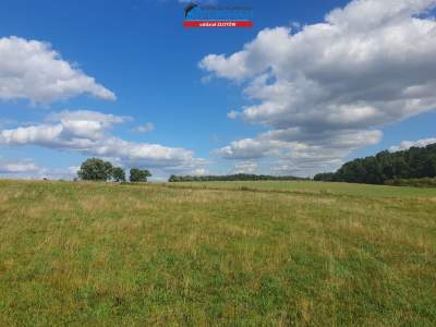                                     Lots for Sale  Złotów (Gw)
                                     | 1561 mkw