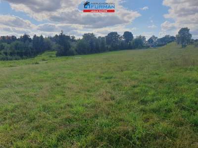                                     Lots for Sale  Złotów (Gw)
                                     | 1561 mkw