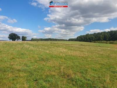                                     Lots for Sale  Złotów (Gw)
                                     | 1336 mkw