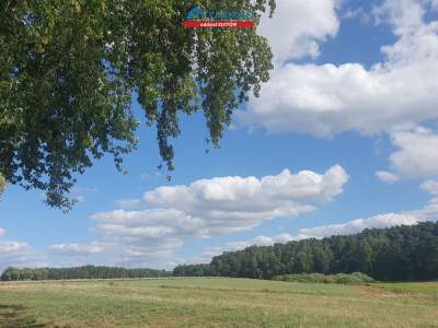                                     Lots for Sale  Złotów (Gw)
                                     | 1336 mkw