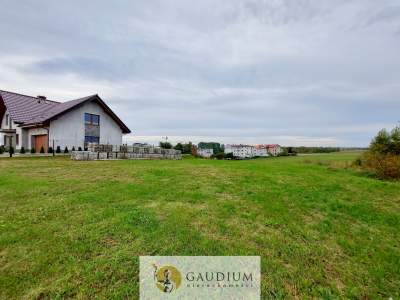                                     Lots for Sale  Przodkowo
                                     | 1463 mkw