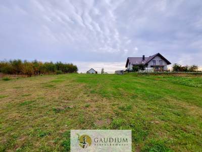                                     Lots for Sale  Przodkowo
                                     | 1463 mkw