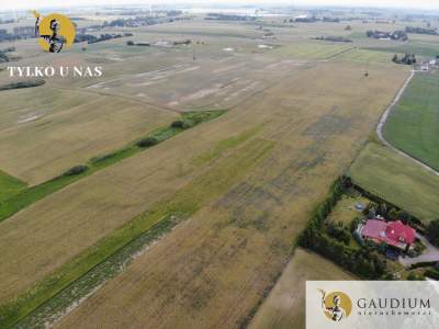                                     Lots for Sale  Sztum
                                     | 75000 mkw