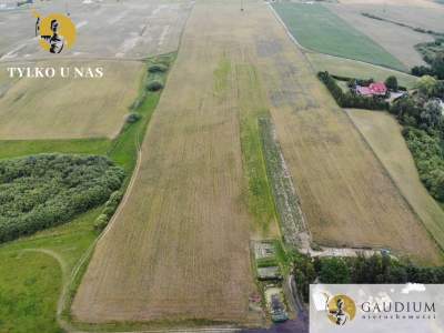                                     Lots for Sale  Sztum
                                     | 31834 mkw