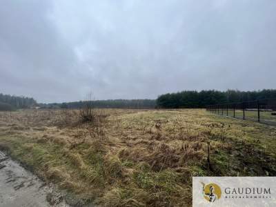                                     Lots for Sale  Nowy Bukowiec
                                     | 1197 mkw