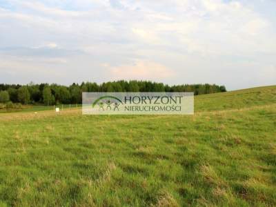                                     Lots for Sale  Borzestowska Huta
                                     | 1060 mkw