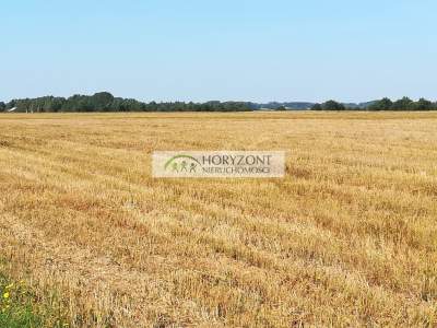                                     Lots for Sale  Dobrzewino
                                     | 1124 mkw