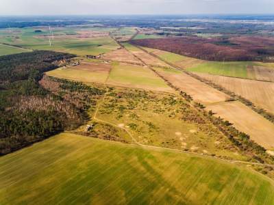                                     Grundstücke zum Kaufen  Baczyna
                                     | 1741 mkw